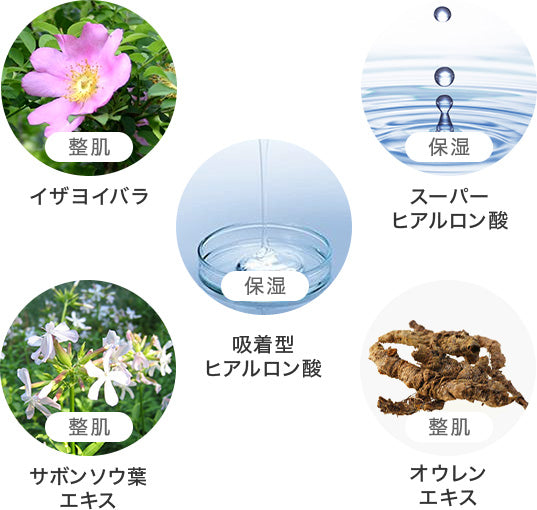 整肌 イザヨイバラ 保湿 スーパーヒアルロン酸 保湿 吸着型ヒアルロン酸 整肌 サボンソウ葉エキス 整肌 オウレンエキス